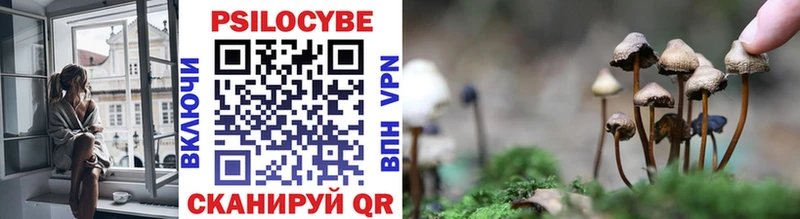 Псилоцибиновые грибы прущие грибы  Купить закладки  Усмань 